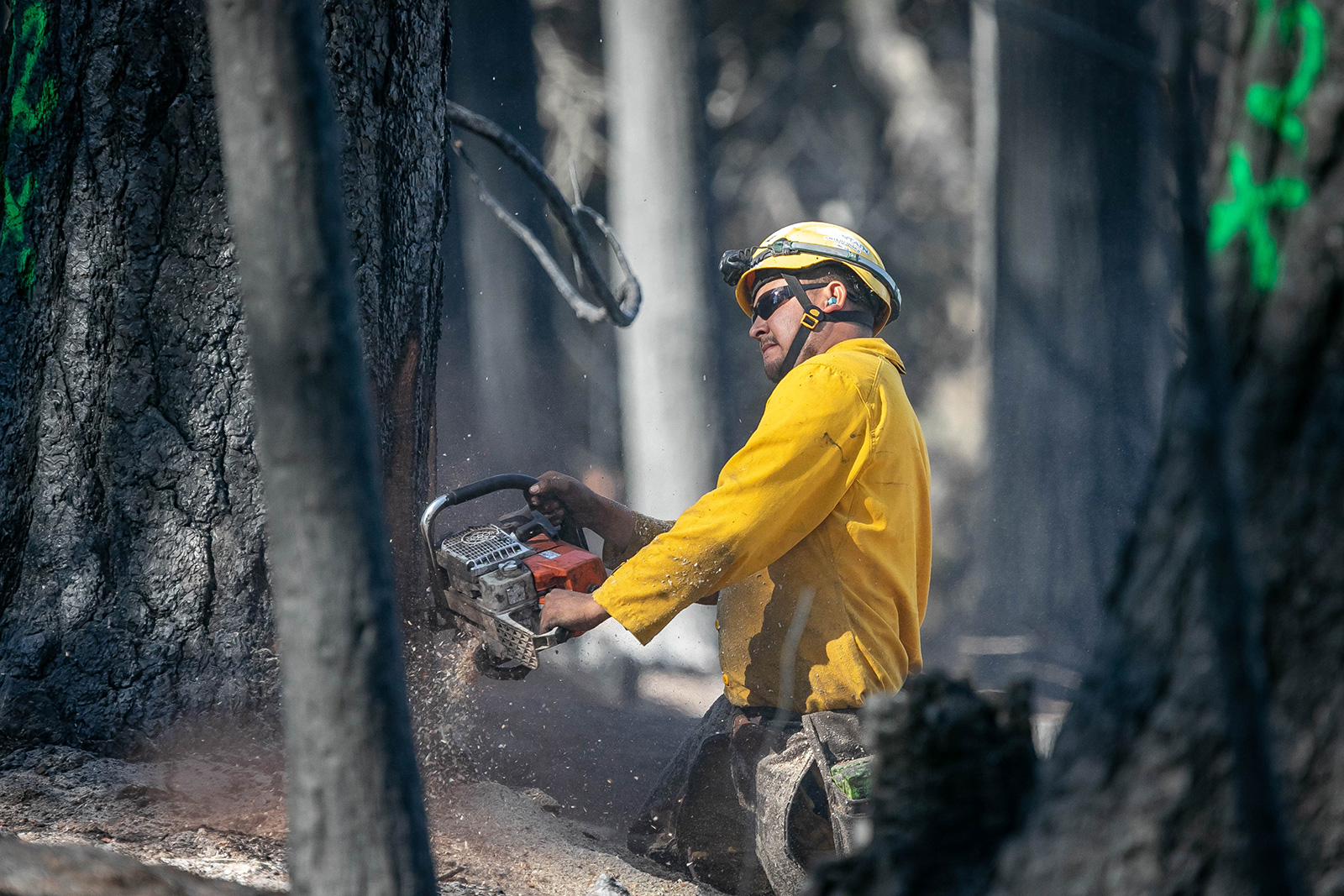 Wildfire tree work